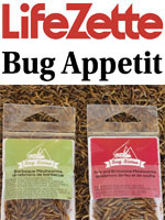 Bug Appetit — LifeZette