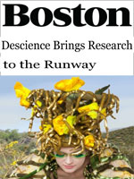 Descience Researchtothe Runway Boston